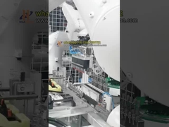 ऑटोमोटिव पार्ट्स की असेंबली के लिए दो रोबोट क्लिप इंसेक्शन सेल